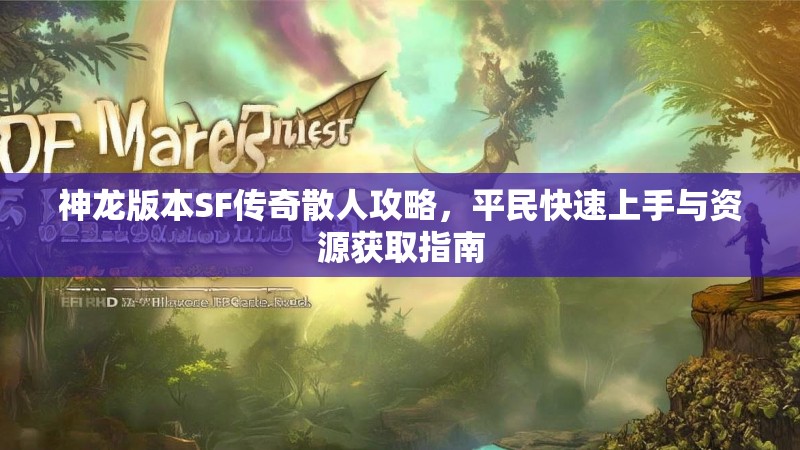 神龙版本SF传奇散人攻略，平民快速上手与资源获取指南