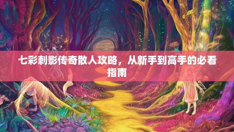 七彩刺影传奇散人攻略，从新手到高手的必看指南