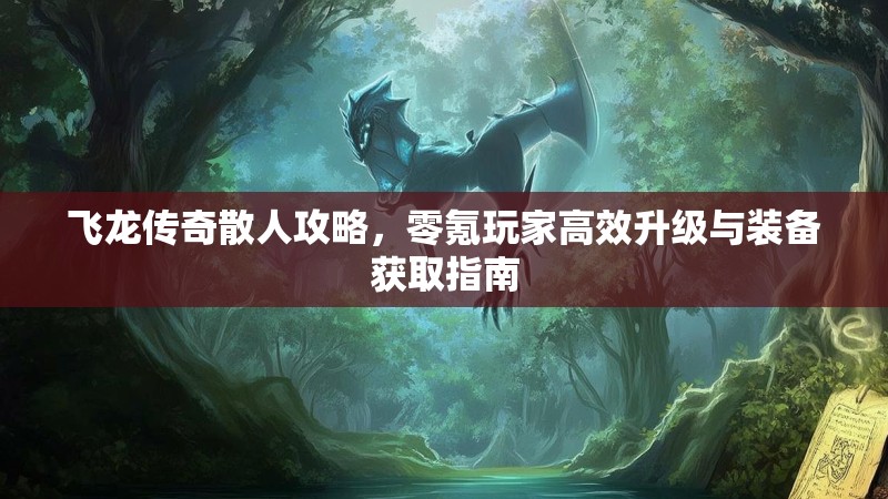飞龙传奇散人攻略，零氪玩家高效升级与装备获取指南