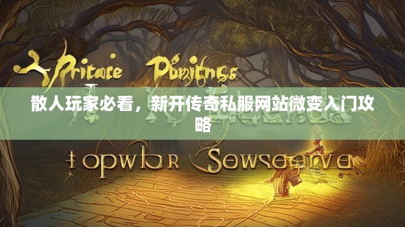 散人玩家必看，新开传奇私服网站微变入门攻略