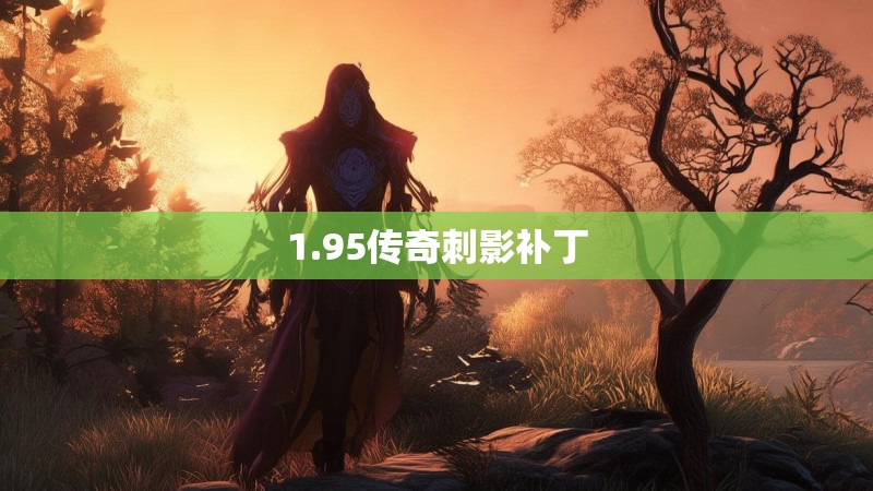 1.95传奇刺影补丁
