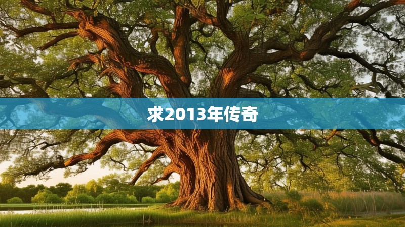 求2013年传奇