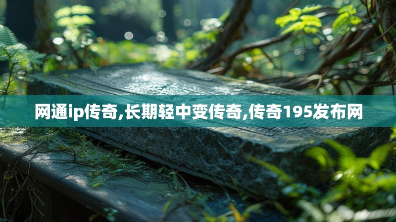 网通ip传奇,长期轻中变传奇,传奇195发布网