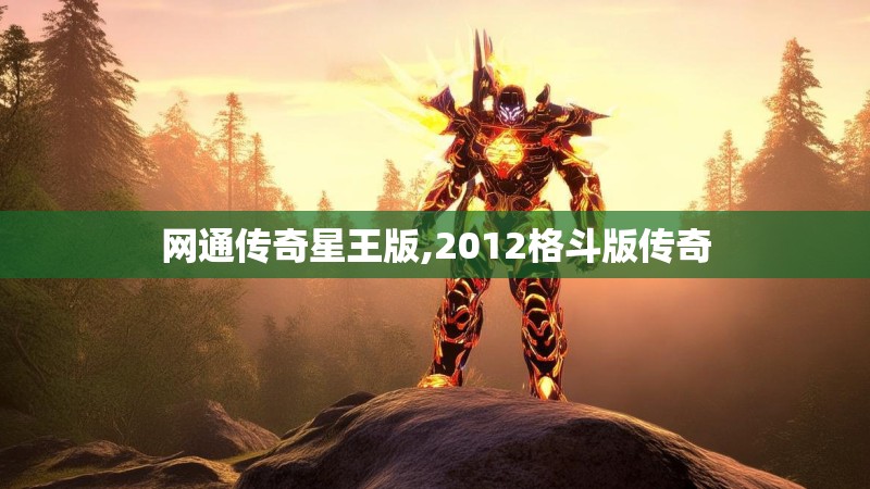 网通传奇星王版,2012格斗版传奇