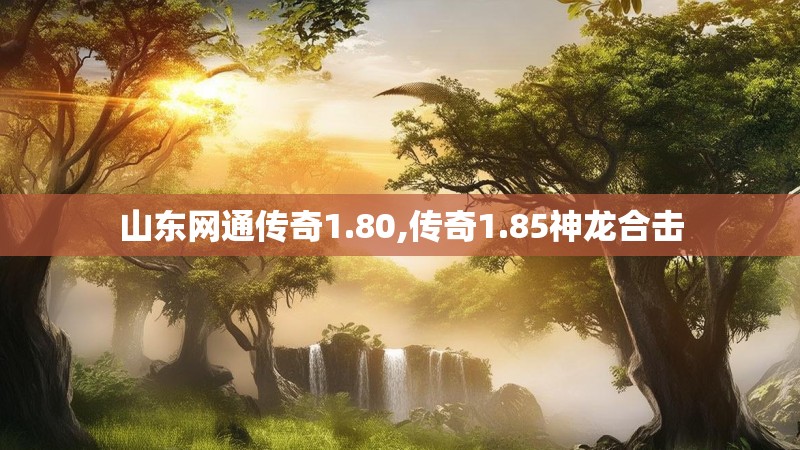 山东网通传奇1.80,传奇1.85神龙合击