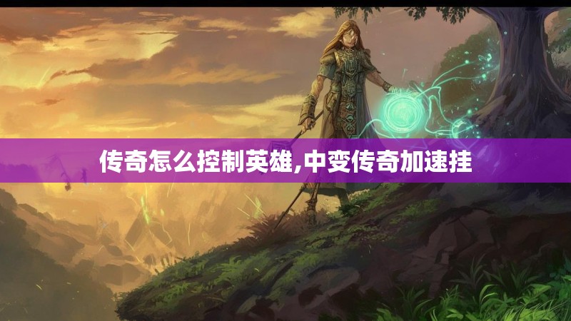 传奇怎么控制英雄,中变传奇加速挂