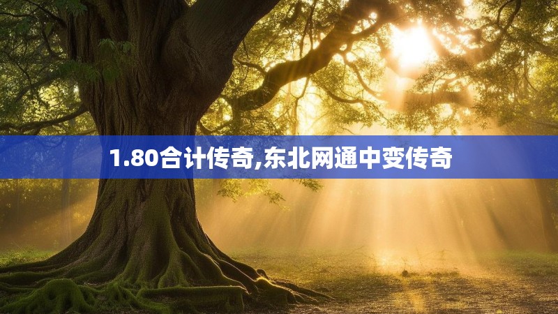 1.80合计传奇,东北网通中变传奇