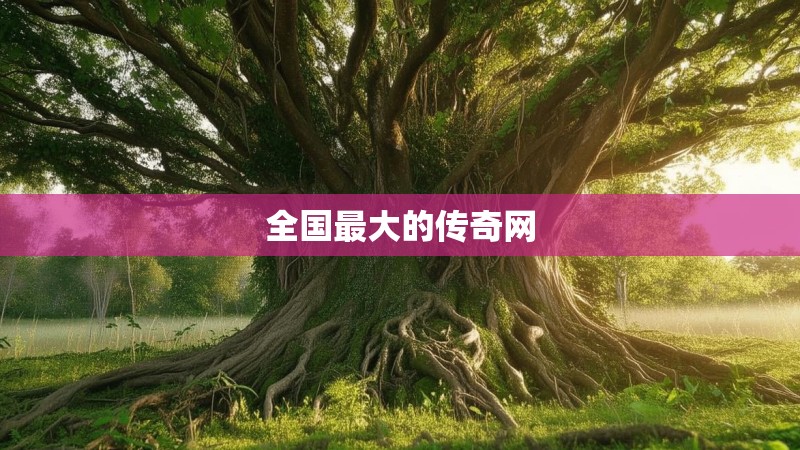 全国最大的传奇网