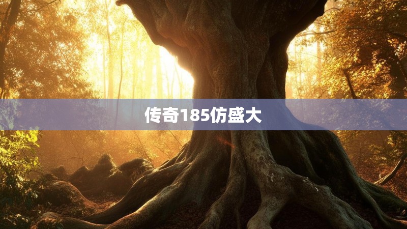 传奇185仿盛大