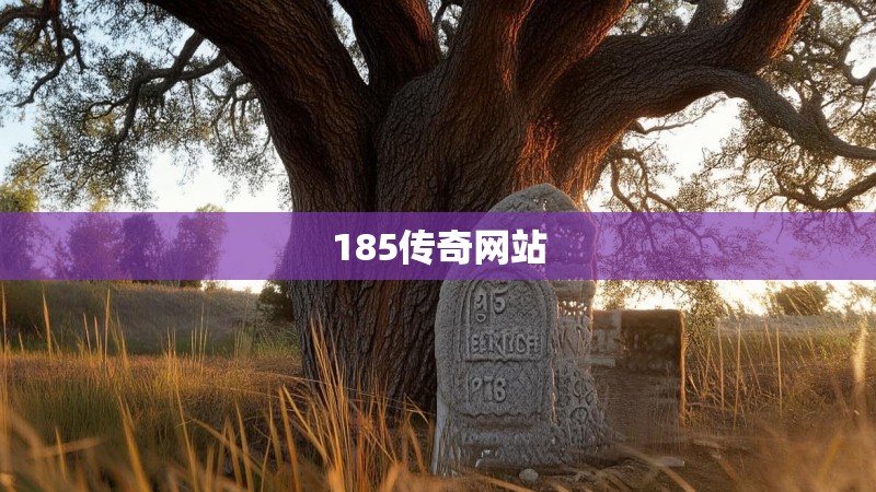 185传奇网站