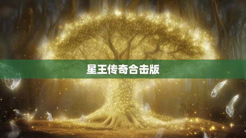 星王传奇合击版