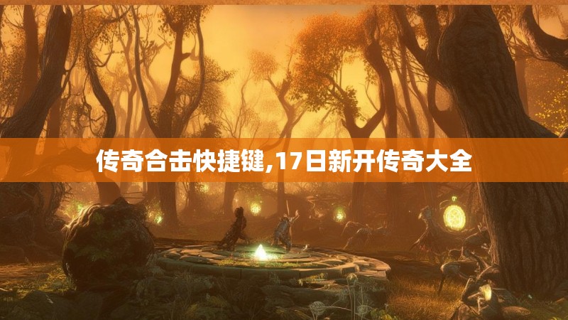 传奇合击快捷键,17日新开传奇大全