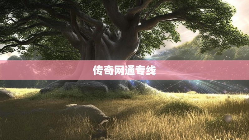 传奇网通专线