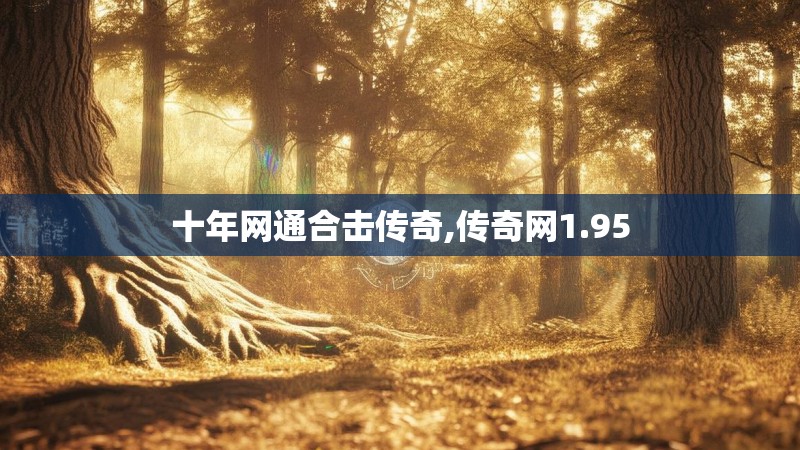 十年网通合击传奇,传奇网1.95