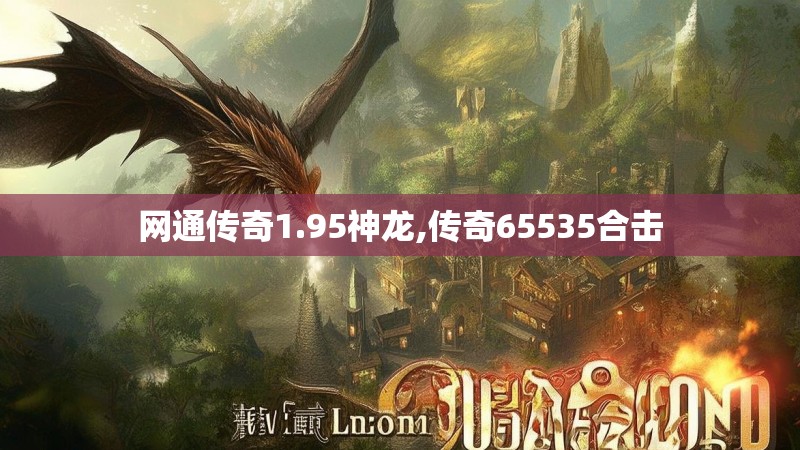 网通传奇1.95神龙,传奇65535合击