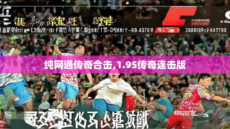 纯网通传奇合击,1.95传奇连击版