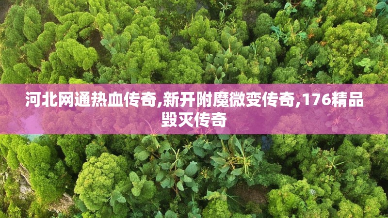 河北网通热血传奇,新开附魔微变传奇,176精品毁灭传奇