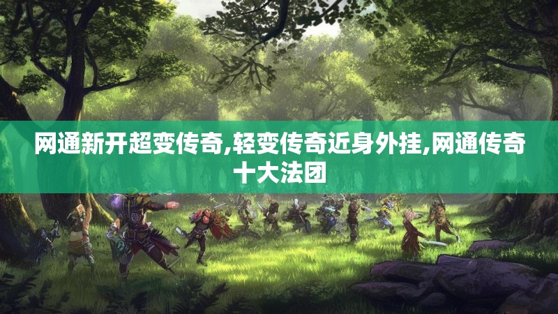 网通新开超变传奇,轻变传奇近身外挂,网通传奇十大法团