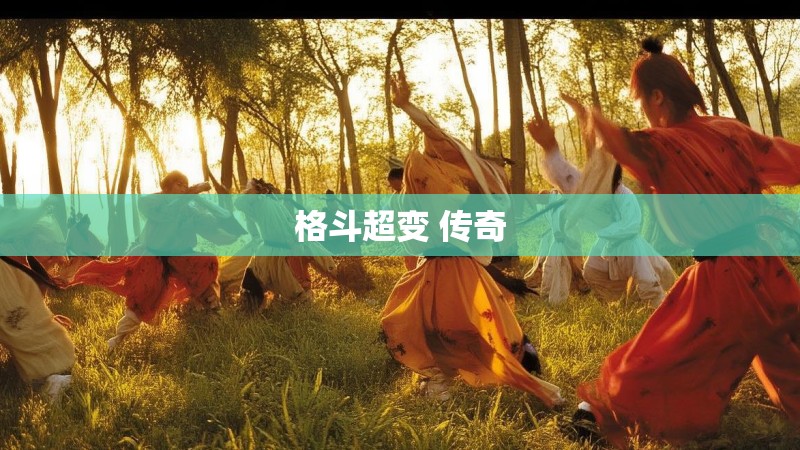 格斗超变 传奇