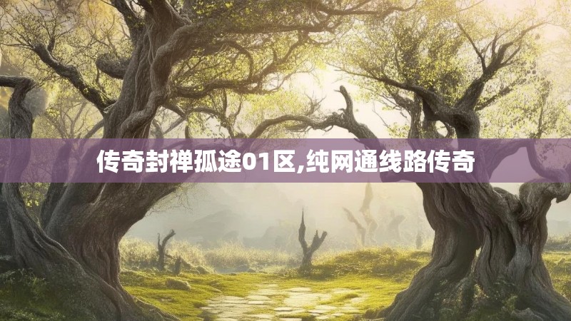 传奇封禅孤途01区,纯网通线路传奇