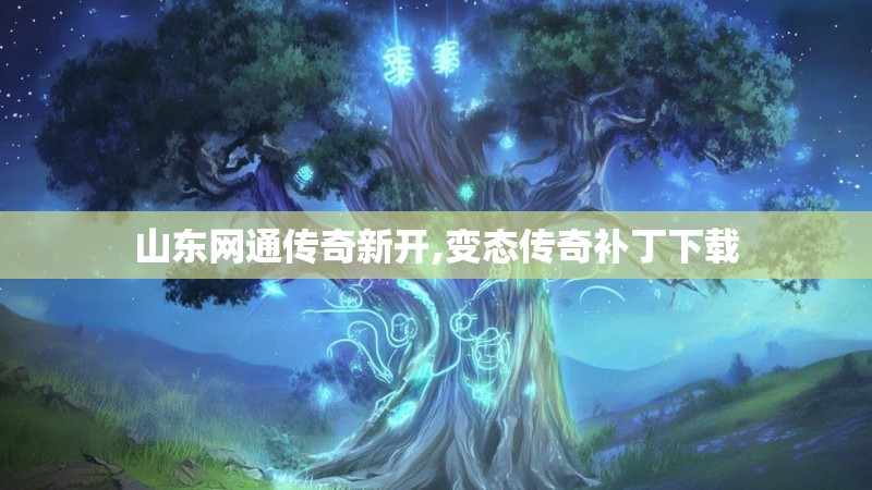 山东网通传奇新开,变态传奇补丁下载