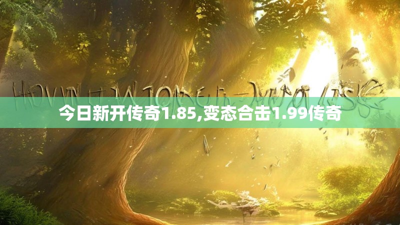 今日新开传奇1.85,变态合击1.99传奇