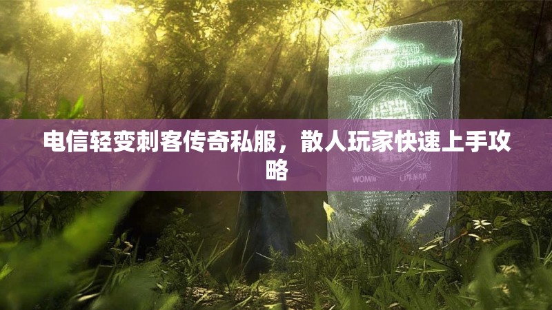 电信轻变刺客传奇私服，散人玩家快速上手攻略