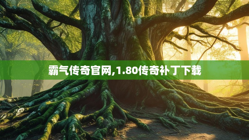 霸气传奇官网,1.80传奇补丁下载