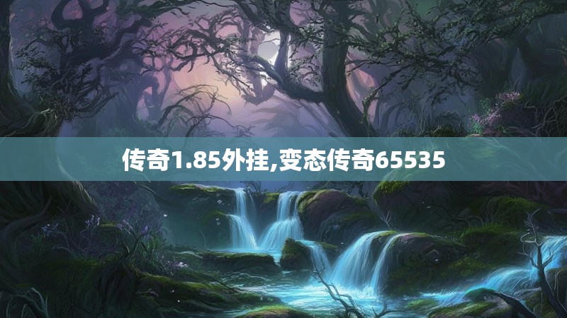 传奇1.85外挂,变态传奇65535