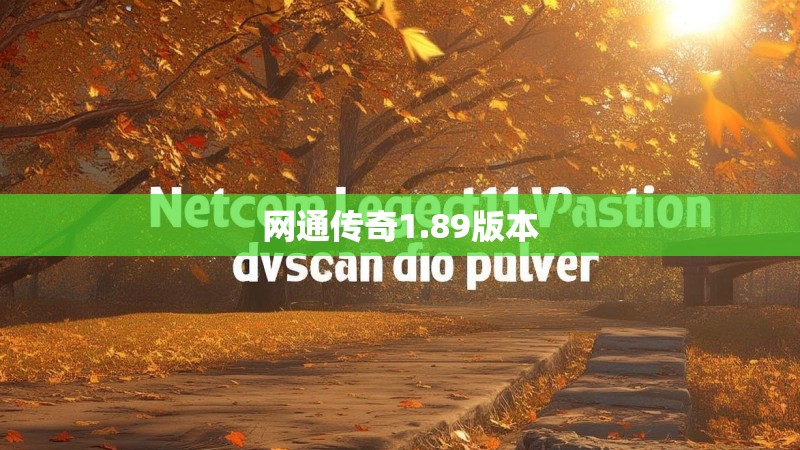 网通传奇1.89版本