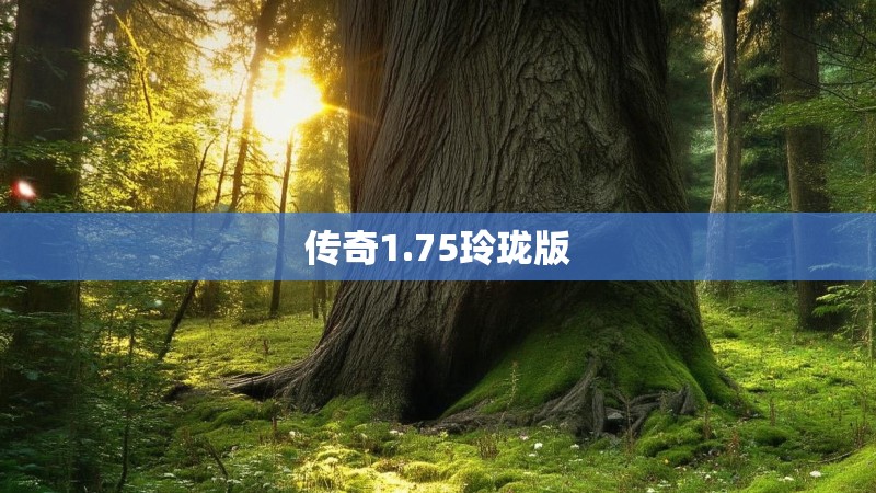传奇1.75玲珑版 传奇1.75玲珑版