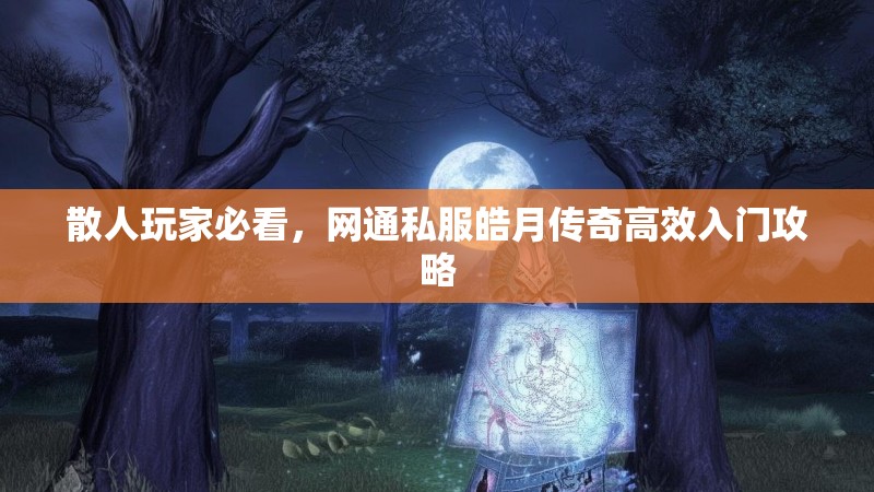 散人玩家必看，网通私服皓月传奇高效入门攻略