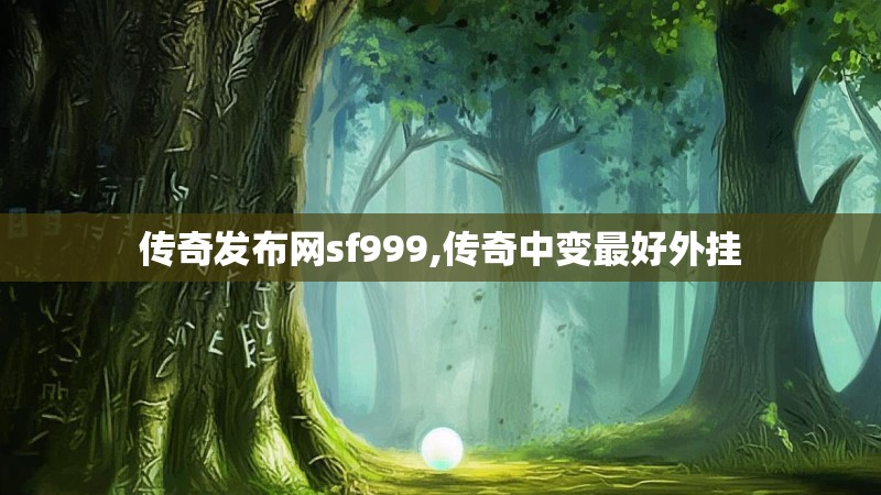 传奇发布网sf999,传奇中变最好外挂