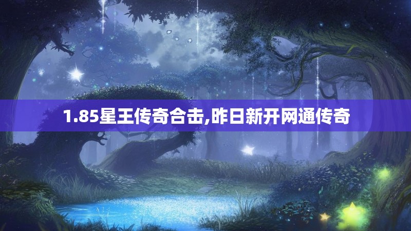 1.85星王传奇合击,昨日新开网通传奇