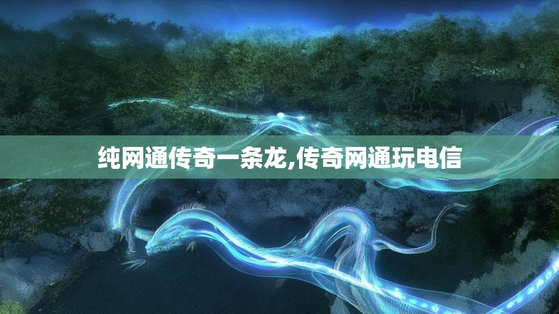 纯网通传奇一条龙,传奇网通玩电信