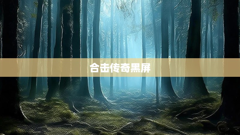 合击传奇黑屏