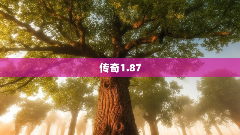传奇1.87