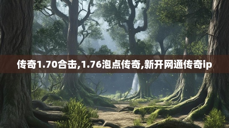 传奇1.70合击,1.76泡点传奇,新开网通传奇ip