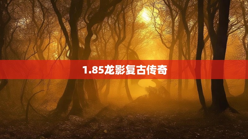 1.85龙影复古传奇
