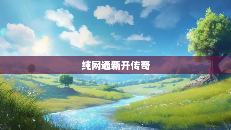 纯网通新开传奇