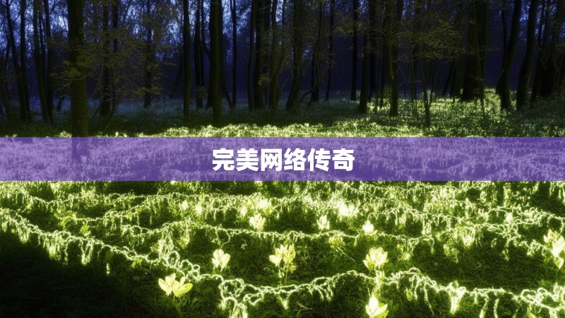 完美网络传奇