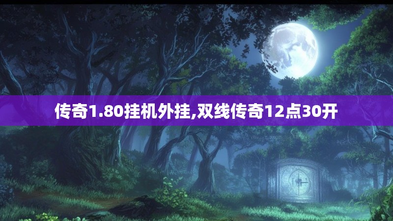 传奇1.80挂机外挂,双线传奇12点30开