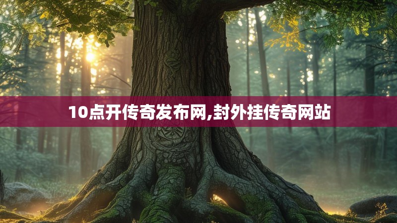 10点开传奇发布网,封外挂传奇网站