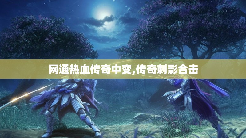 网通热血传奇中变,传奇刺影合击