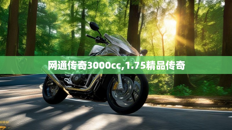 网通传奇3000cc,1.75精品传奇