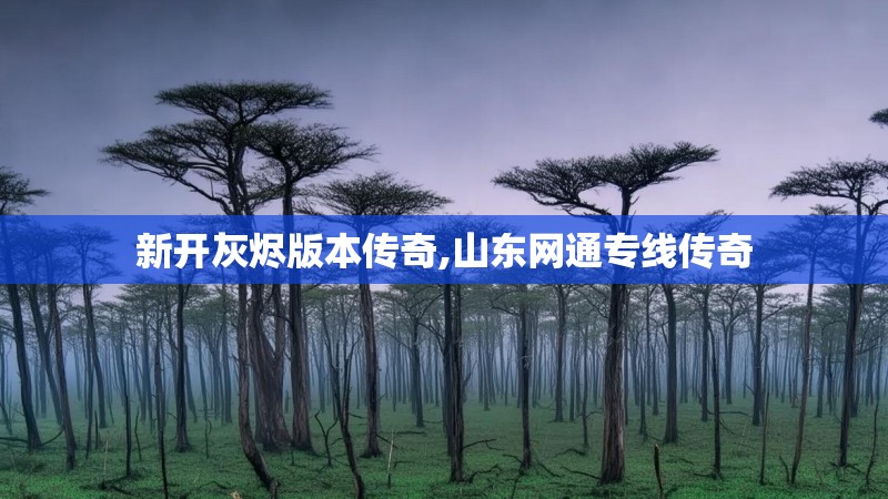 新开灰烬版本传奇,山东网通专线传奇