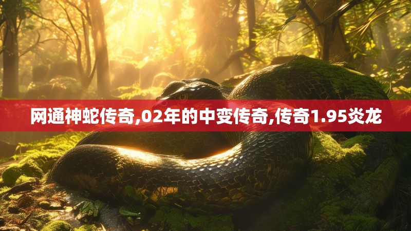 网通神蛇传奇,02年的中变传奇,传奇1.95炎龙