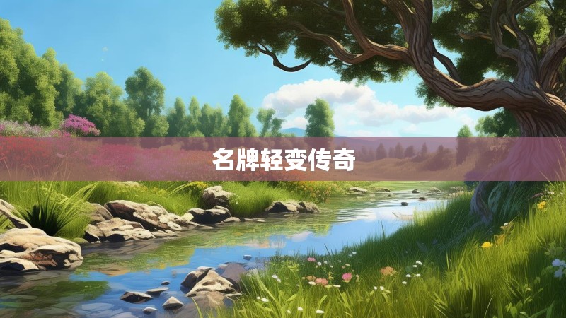 名牌轻变传奇