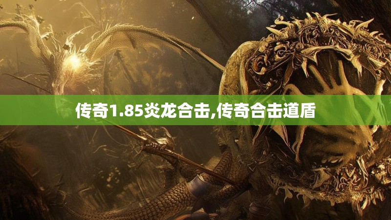 传奇1.85炎龙合击,传奇合击道盾