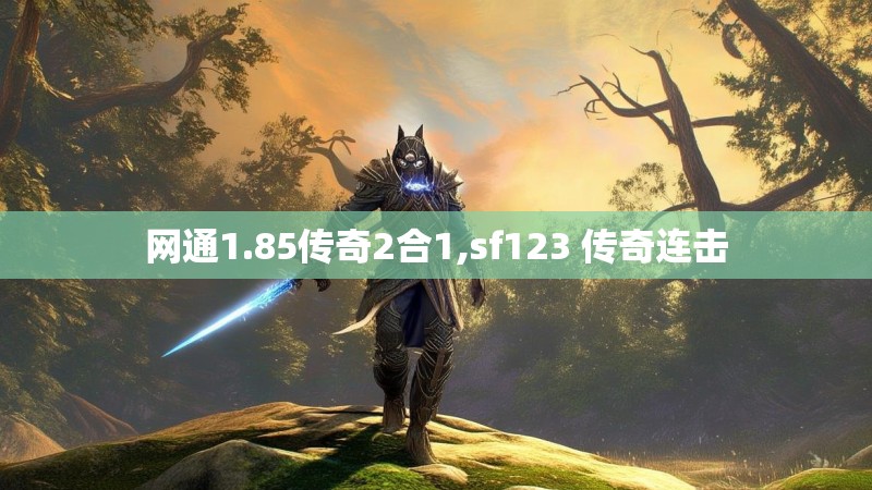 网通1.85传奇2合1,sf123 传奇连击